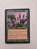 Spike Colony - Stronghold - LP - Common - Creature 