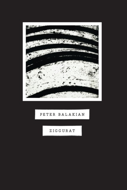 Ziggurat by Peter Balakian PAPERBACK 9780226035666 - Image 4