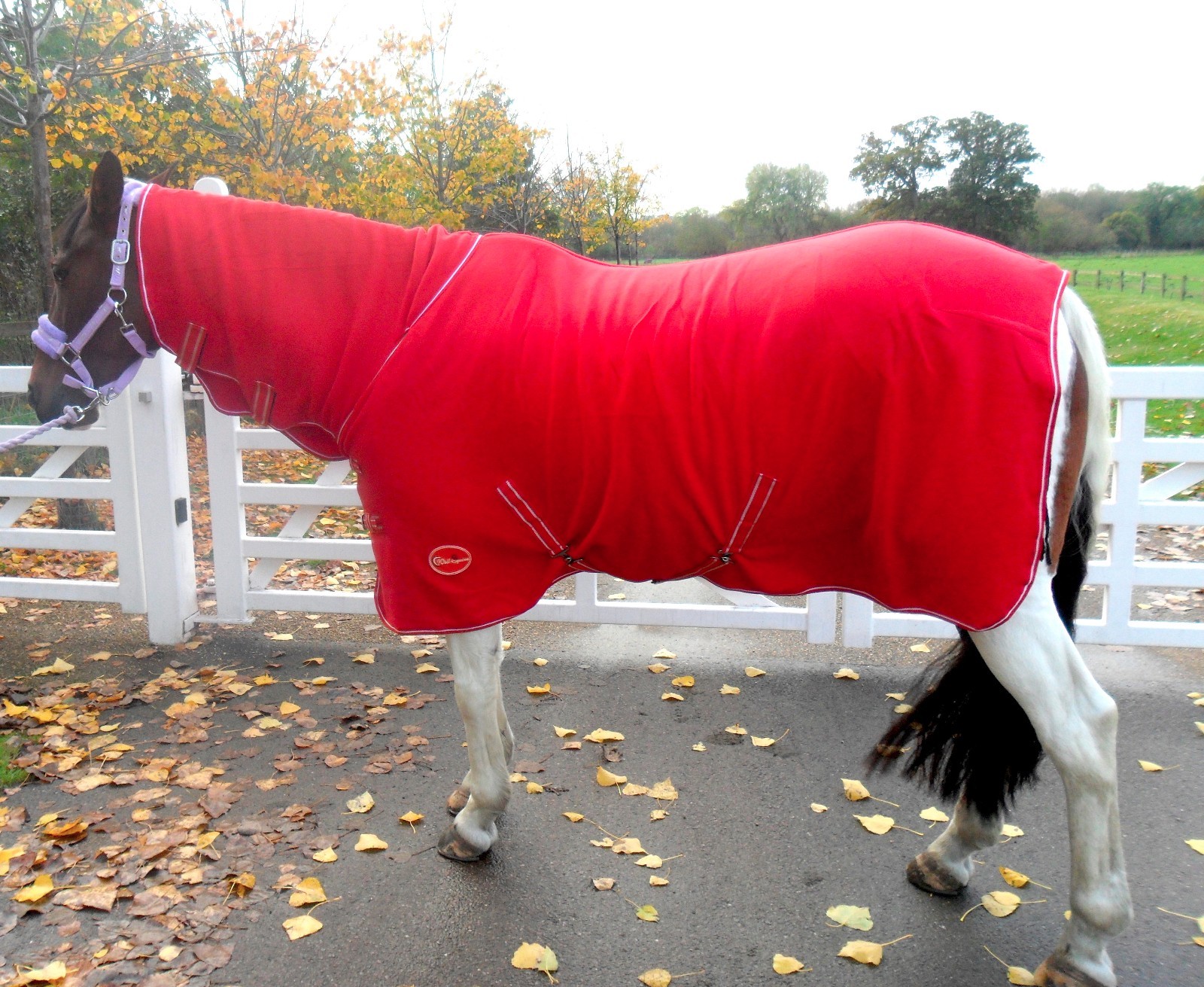 NEW Deluxe show combo fleece cooler full neck cover travel stable horse