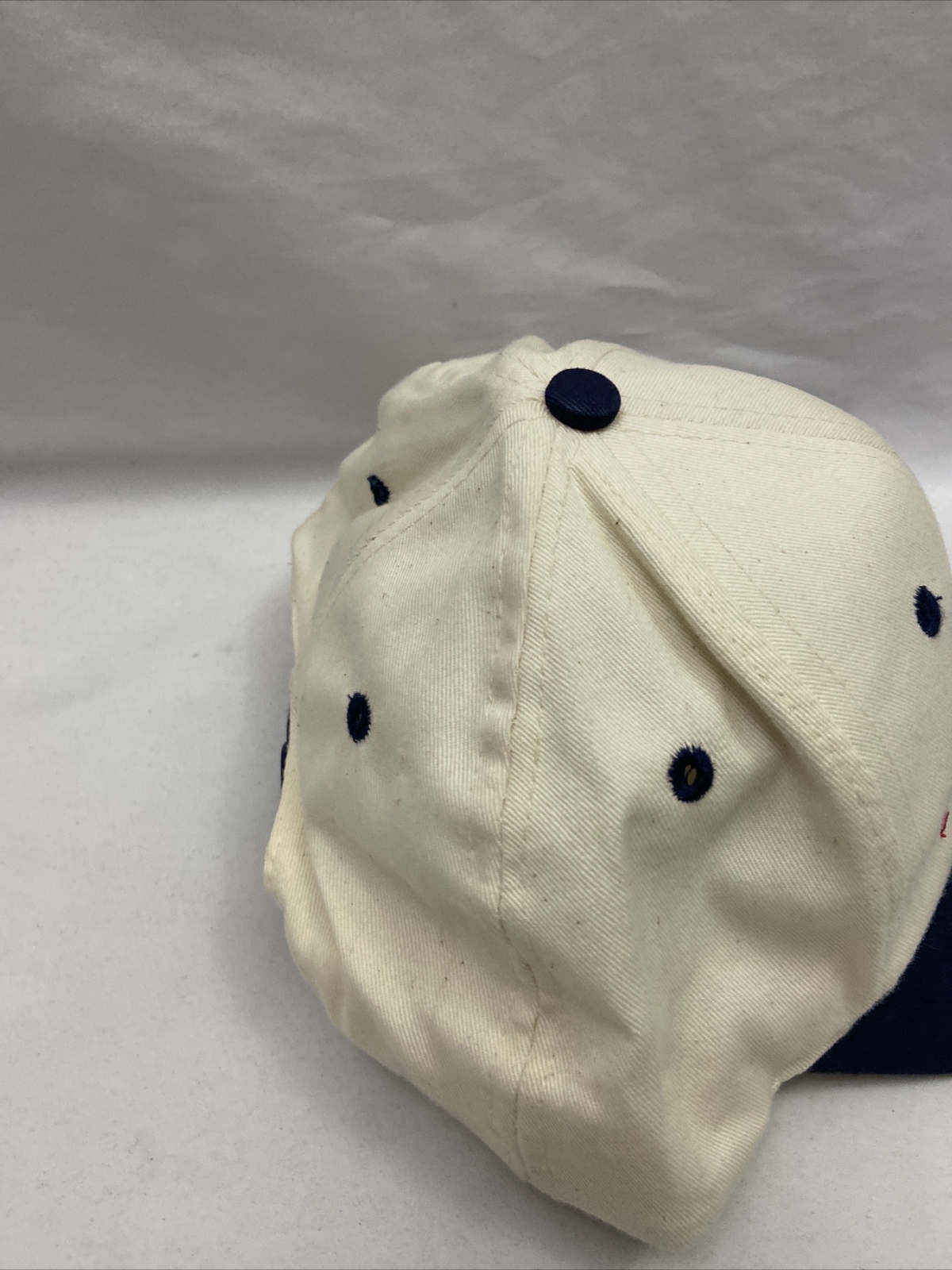 Vintage Primerica Financial Services Cap Hat Snapback Gem