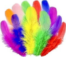 Colorful Craft Feathers 1600Pcs 3-5" for DIY Projects