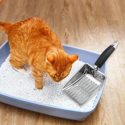 Katzenstreuschaufel Reinigungswerkzeug Katze Metallschaufel für Katzen Kaninchen Kätzchen
