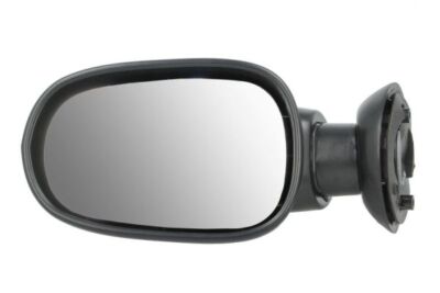 BLIC 5402-04-1199599P Outside Mirror for Dacia, Renault