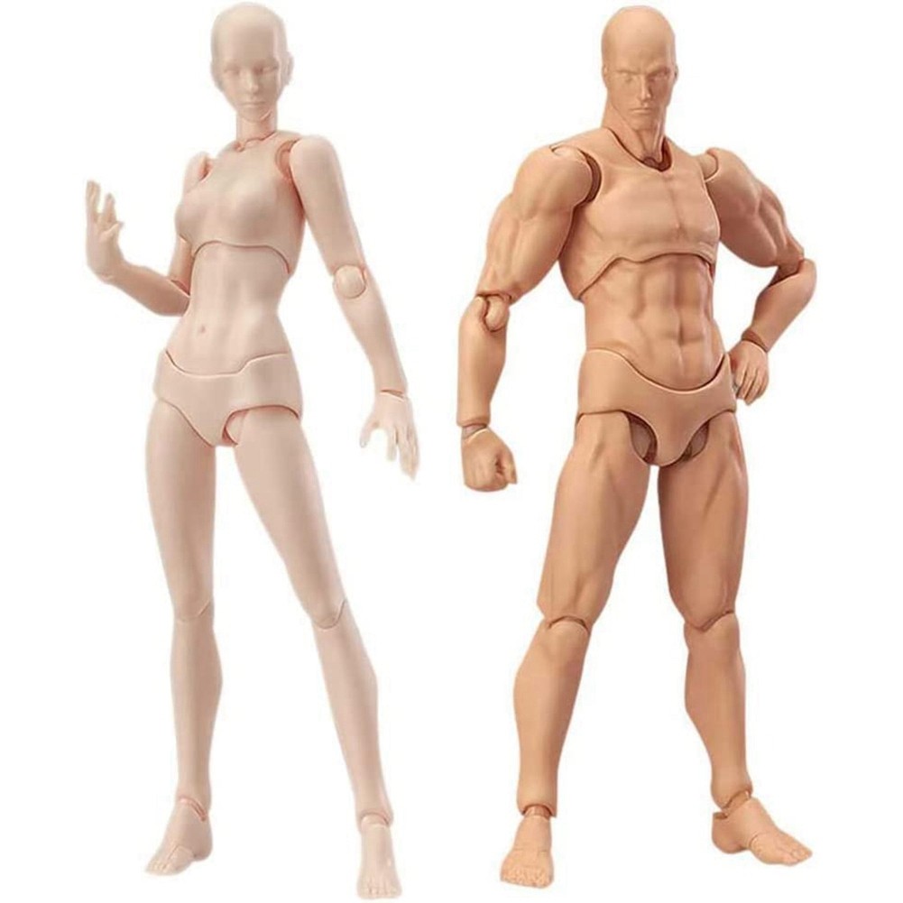 Body Doll, Artists Manikin Blockhead Jointed Mannequin Drawing Figures5068