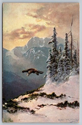 Vintage Alpine Mountain Scene Postcard with Flying Bird and Snowy Pines