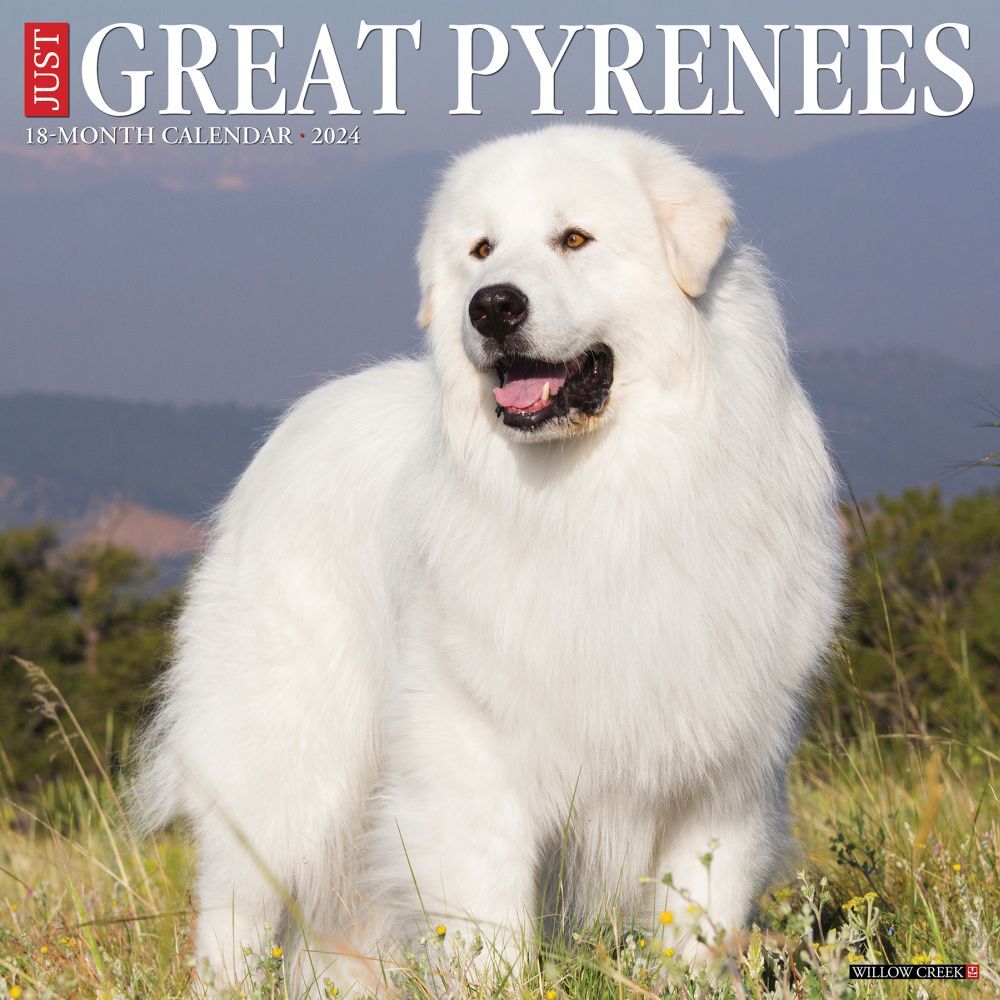 Willow Creek Press, Just Great Pyrenees 2024 Wall Calendar Game Room