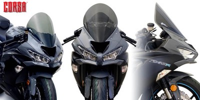 Corsa Blase für Kawasaki ZX-6R 2019-2020 Zero Gravity Racing - Farbe in