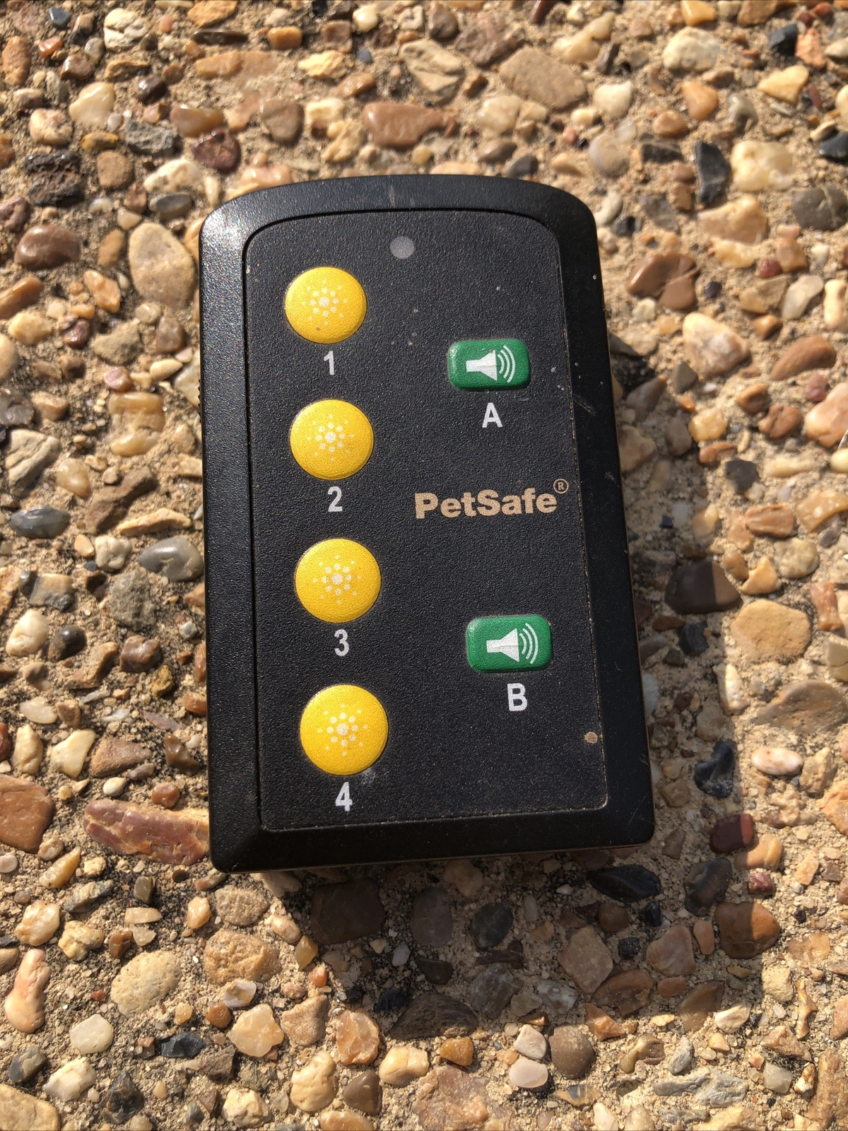 petsafe training system