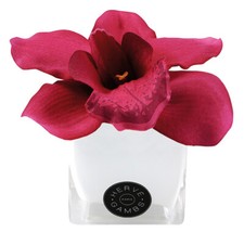 Herve Gambs Fuchsia Couture Orchid Silk Flower In White Small Glass Cube