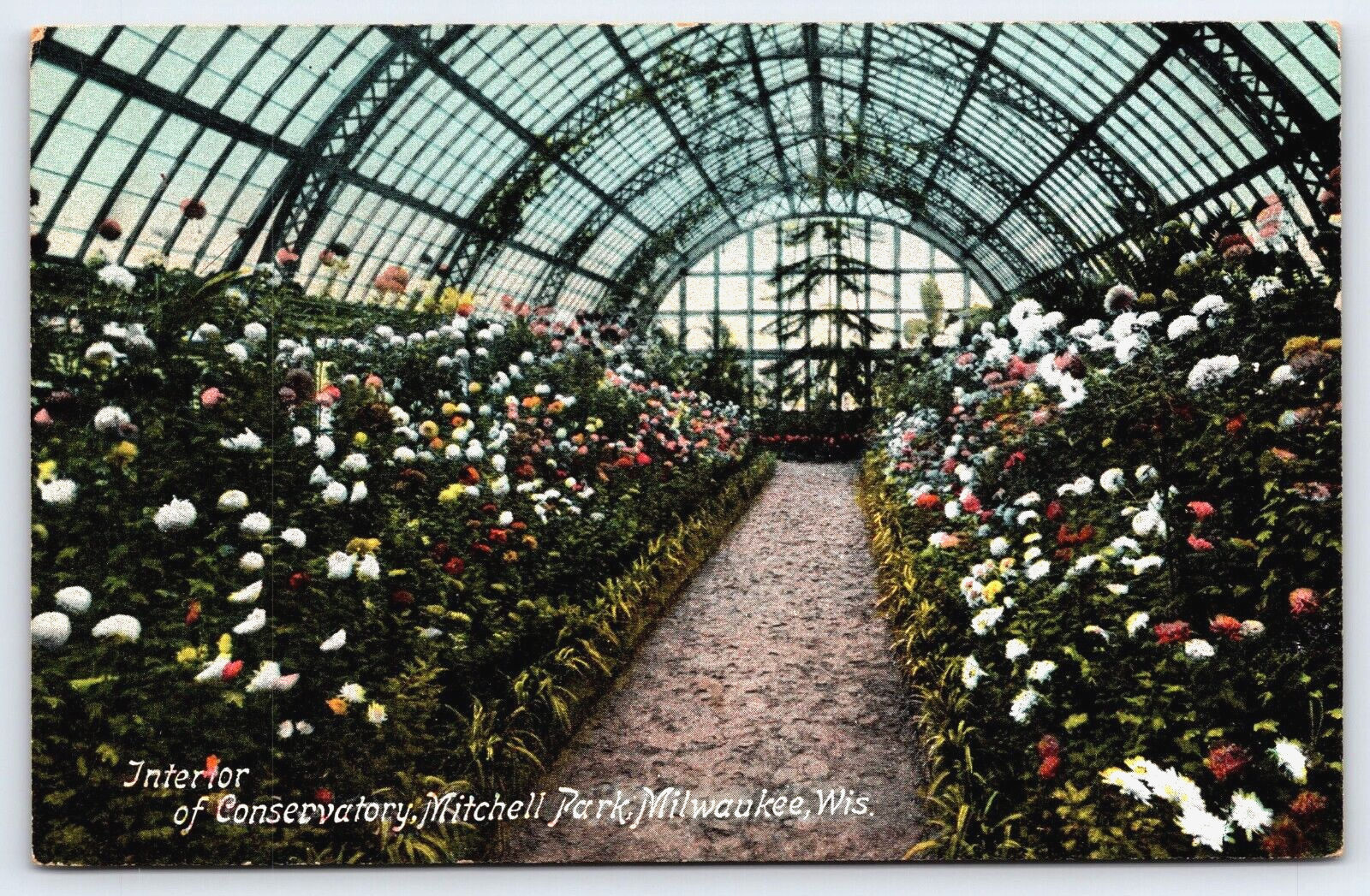 Old Vintage Postcard Mitchell Park Conservatory Interior Milwaukee, Wisconsin