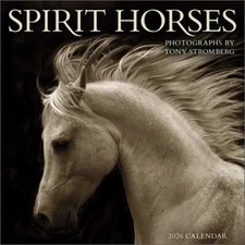 Spirit Horses 2026 Wall Calendar by Tony Stromberg (Calendar)