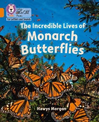 Collins Big Cat Phonics for Letters and Sounds - The Incredible Lives of Monarc - Image 2