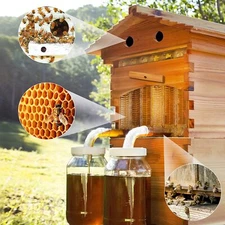 Auto Bee Hive Honey Wooden Beekeeping Beehive House + 7pcs Bee Comb Hive Frames 