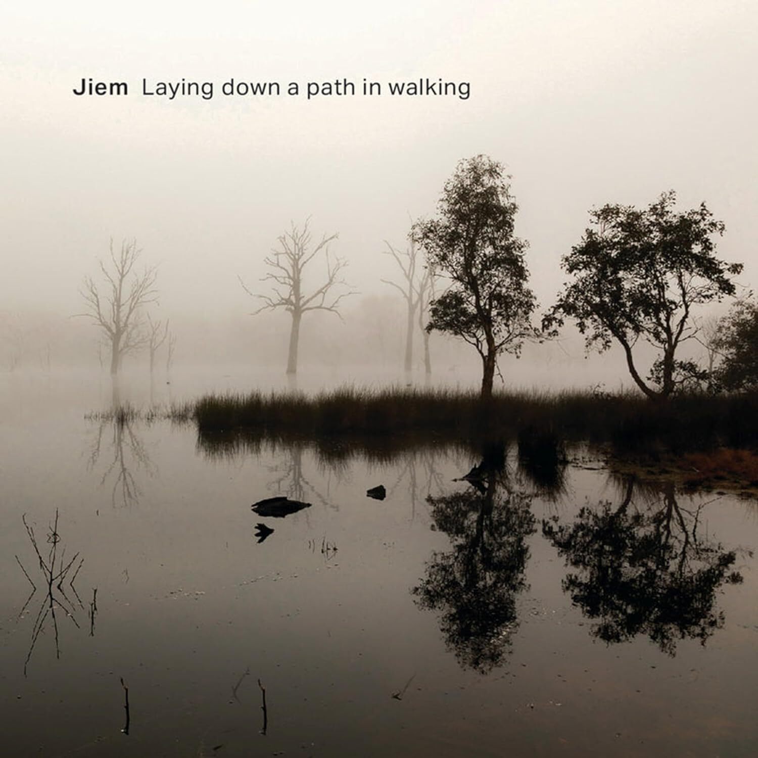 Jiem Laying Down a Path in Walking (CD) Album