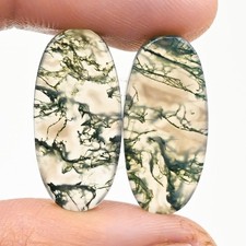 18.50Cts Natural Moss Agate Cabochon loose Gemstone Oval Pair 11x24x4mm