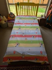 Bluey And Bingo Reversible Single Doona Cover And Pillow Case