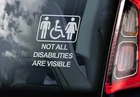 Not all Disabilities are Visible, Car Window Sticker Disabled Sign Decal - V01