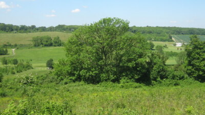 Photo 6x4 View from Lower Wood East Hill/TQ5562 Austin Lodge golf course c2009