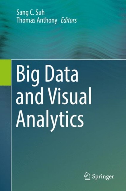 Big Data and Visual Analytics (Hardback Book)
