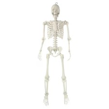 Hanging Posable Skeleton Decoration, White, 5', Halloween by Way To Celebrate