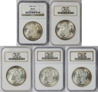 Lot 5 Coins Different Date Morgan Dollar $1 MS 64 NGC