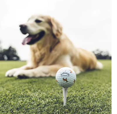 ONE Callaway Chrome Tour GOLDEN RETRIEVER Let the Big Dog Eat Golf Ball ONE BALL
