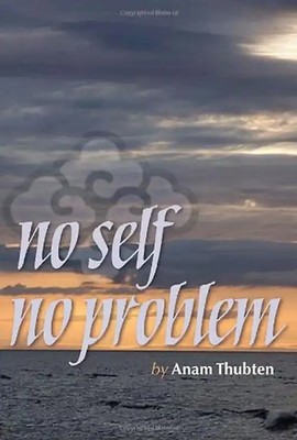 No Self No Problem: Awakening to Our True Nature - Thubten, Anam