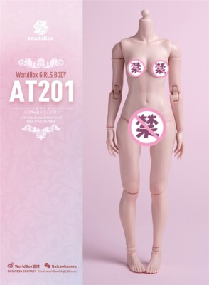 1/6 Worldbox AT201 Girls Standard Doll Body Pale FIT 12