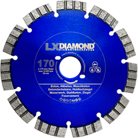 Lxdiamond Diamant-Trennscheibe 170Mm Passend FüR Bepo Ffs 171 Se MontagefräSe