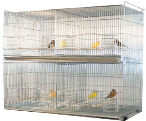 canary breeding cages on ebay