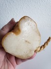 Foto 9 di 9