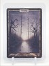 SWAMP 2004 MAGIC THE GATHERING UNHINGED Q6016