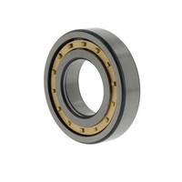 Fag Zylinderrollenlager NUP309 -E-M1 Id 45Mm Ad 100Mm Breite25Mm 1St./Ve