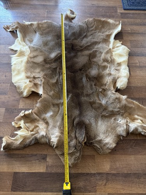 #ad #ad Tanned White Tailed Deer Hide $100.00