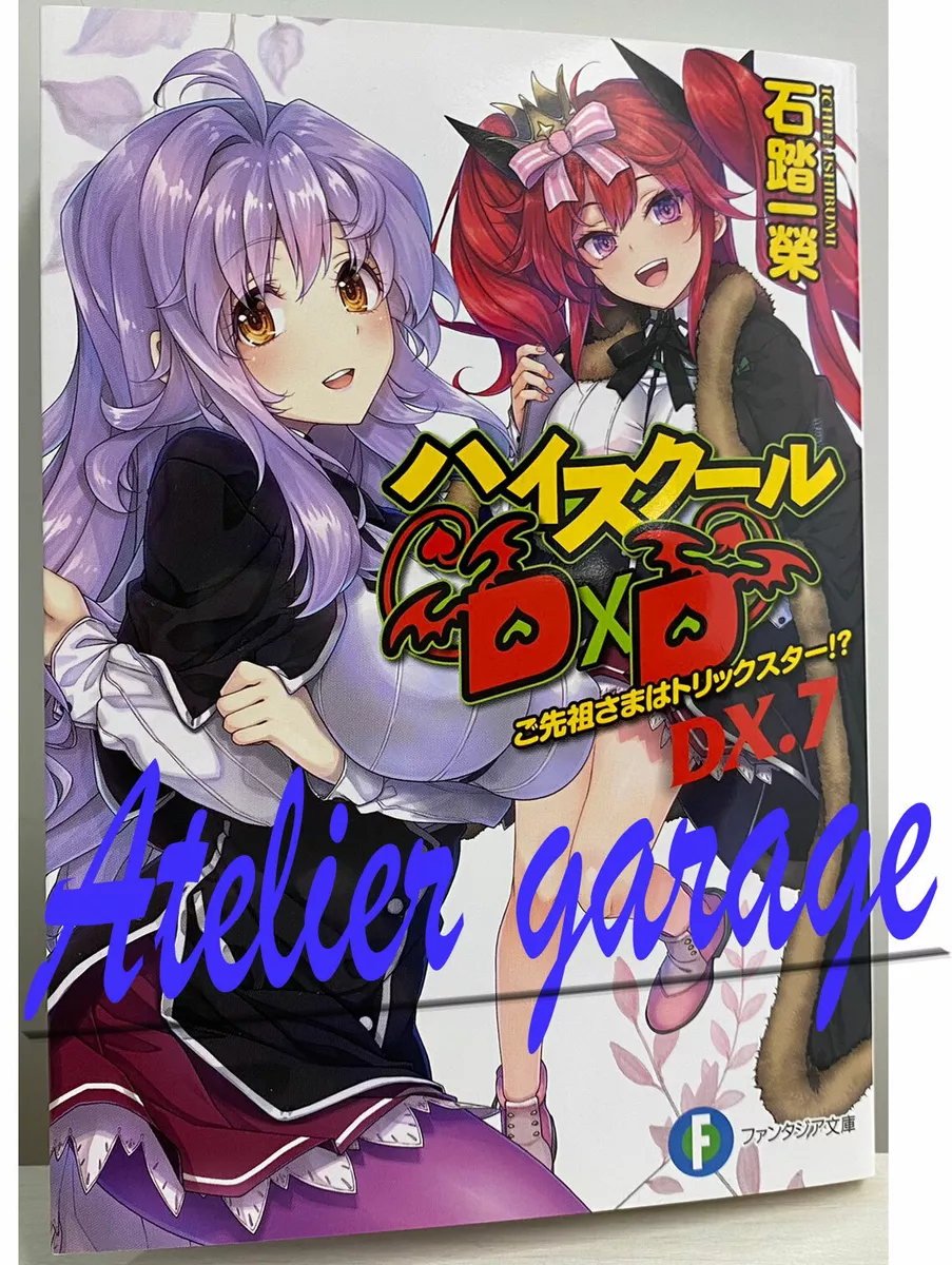 High School DxD DX  Light Novel 