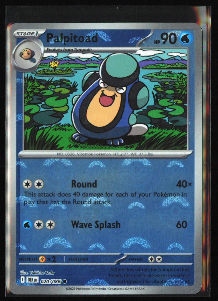 💧Palpitoad (Poke Ball) Holo #020/086 SV: Black Bolt - Pokemon TCG - NM💧