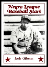 1986 Fritsch Negro League Baseball Stars - Pick A Card