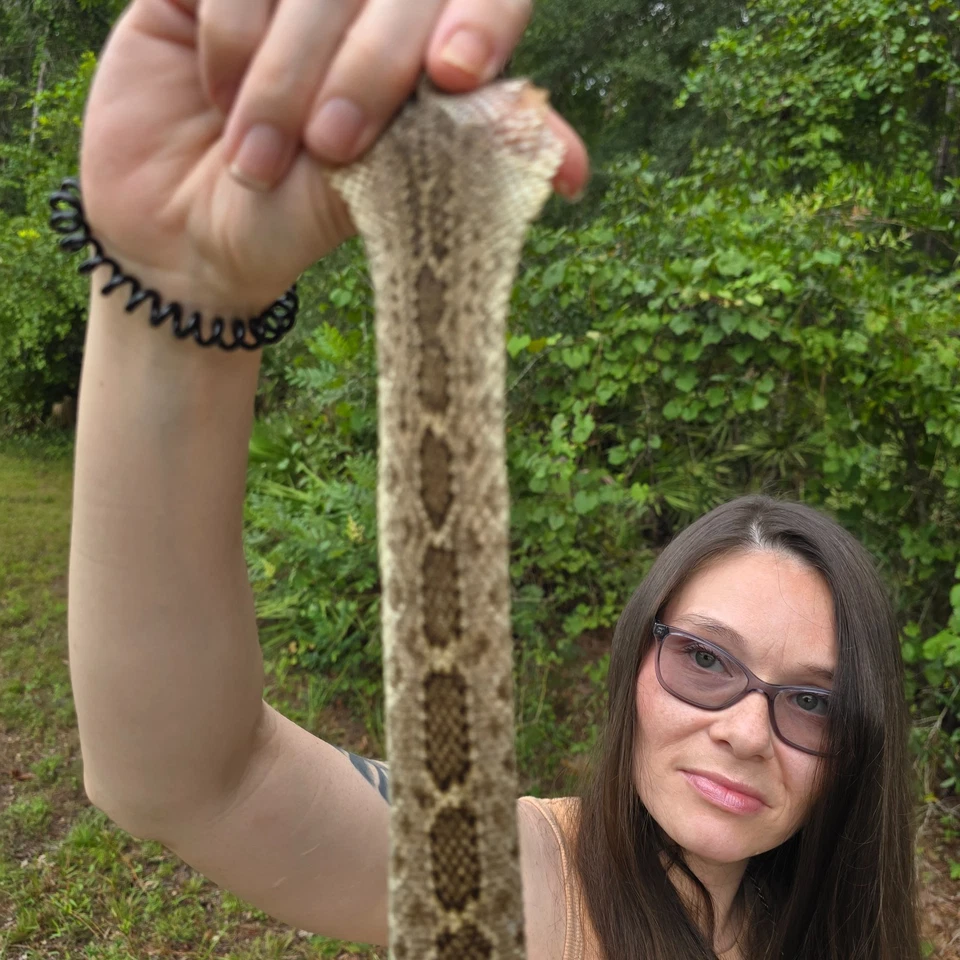 Rattlesnake skin hide pelt Leather Hide Western Diamond Back Costume Crafts - Image 3 of 4