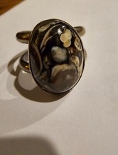Turritella Agate Ring size 8.5
