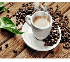 Paint By Numbers Adults kids Coffee Tea Table DIY Painting Kit 40x50CM Canvas