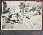 Spanish American War or Later Military Photo. Soldiers with Cavalry Horse. Lot 1 — photo 2