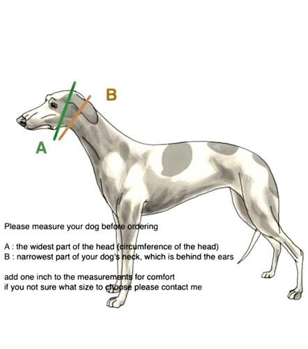 Martingale Dog Collar for Greyhound Saluki Whippet and Other Breeds with Simi... - Picture 3 of 3