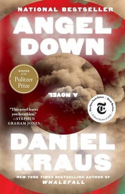 Angel Down A Novel Daniel Kraus Paperback New Horror Fantasy Book.....  