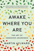 Awake Where You Are | The Art Of Embodied Awareness | Martin Aylward | Buch