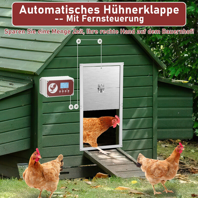 Bild 9 von 12