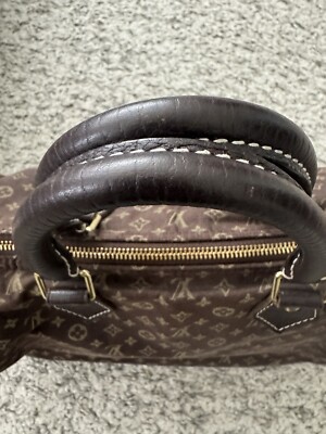 Louis Vuitton Speedy 30 Idylle Monogram | eBay