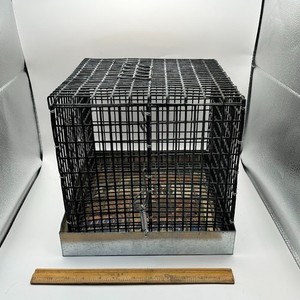 Chinchilla Travel Cage