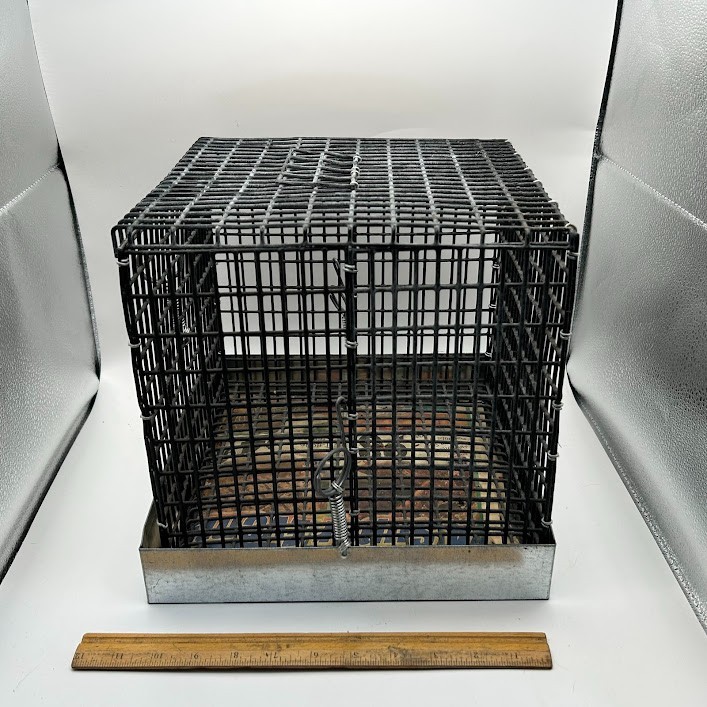 Chinchilla Travel Cage