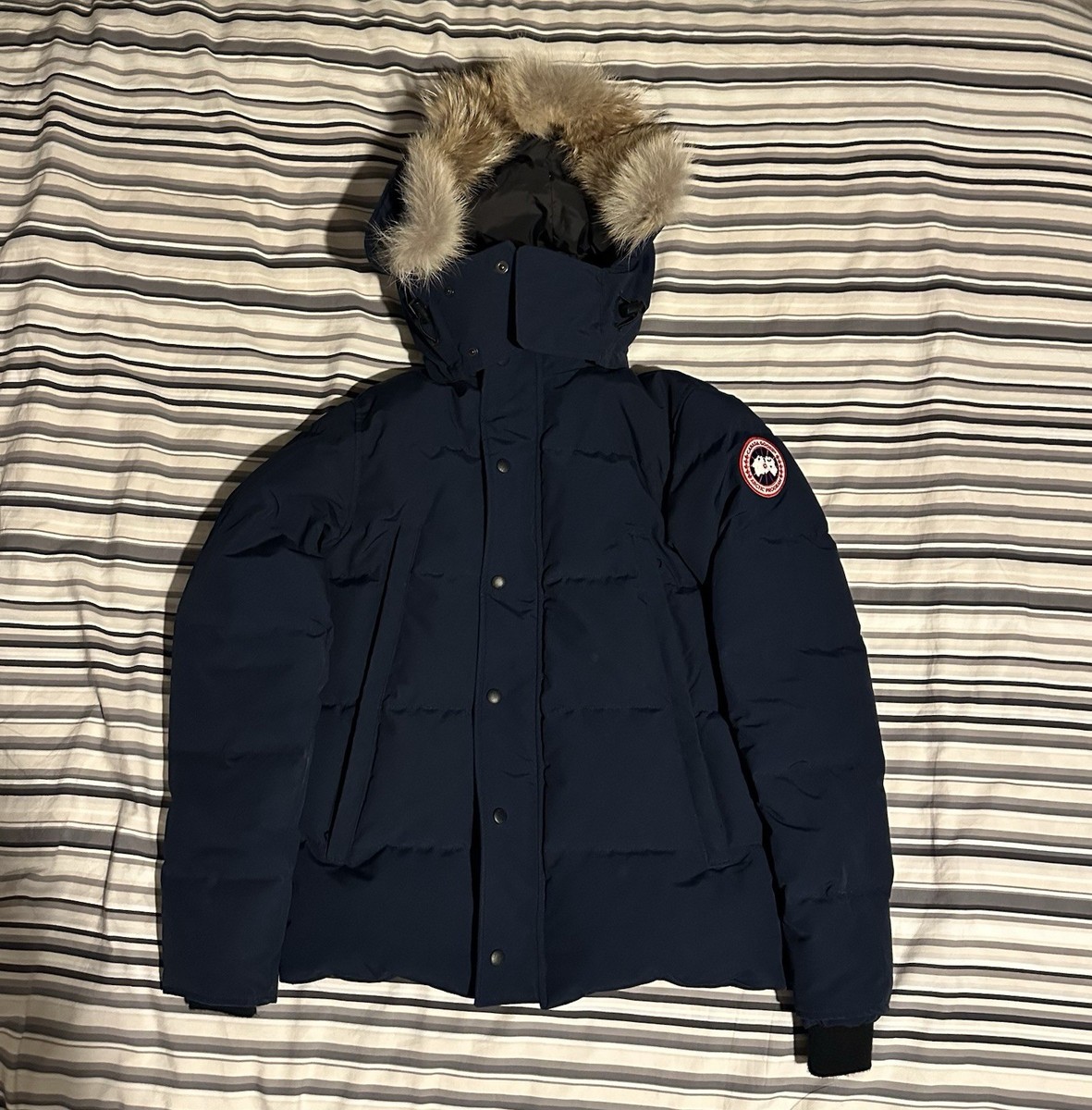 Goose Wyndham Parka Canada Goose Jacket Short Canada Goose Wyndham - Main Image