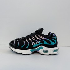 a nike day air max plus 
